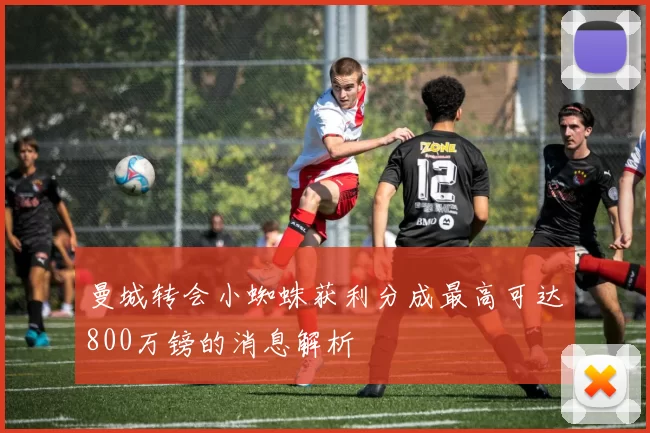 曼城转会小蜘蛛获利分成最高可达800万镑的消息解析